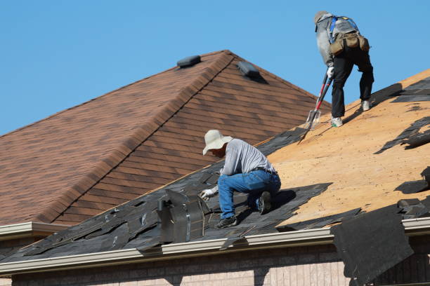 Best Metal Roofing Installation  in Drew, MS